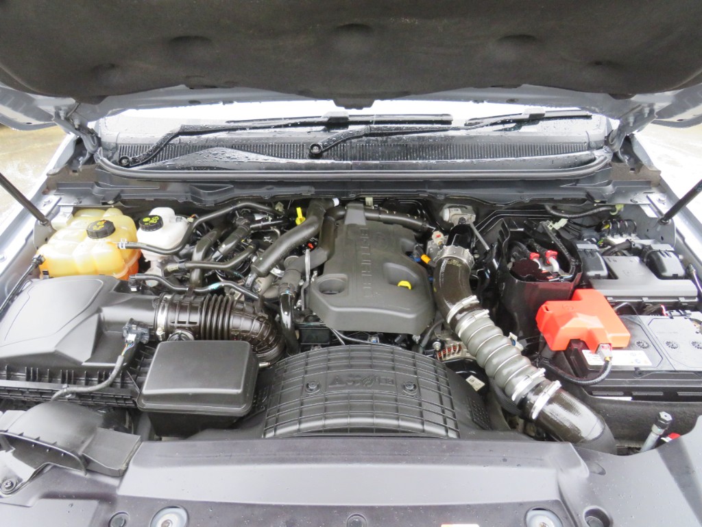 S1868520.jpg