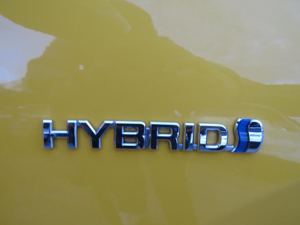 S1870419.jpg