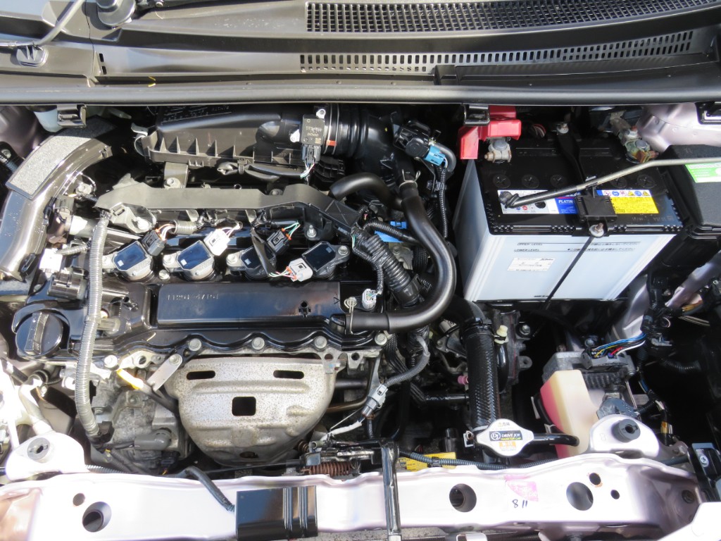 S1873817.jpg