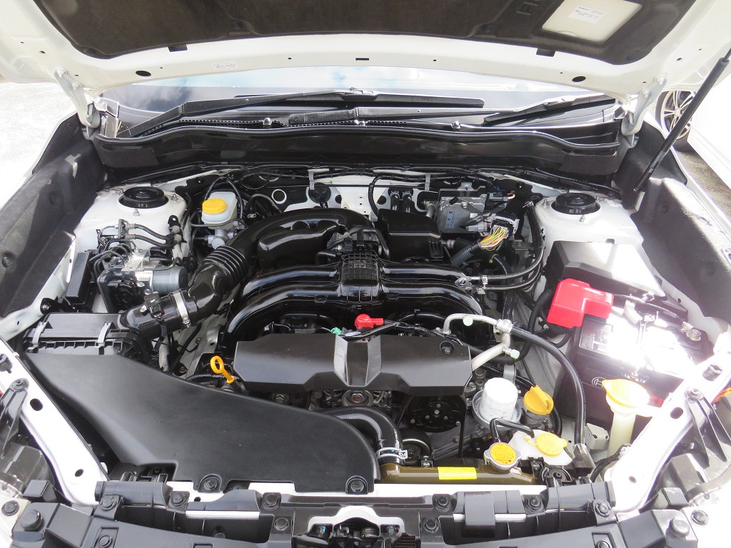 S1914021.jpg
