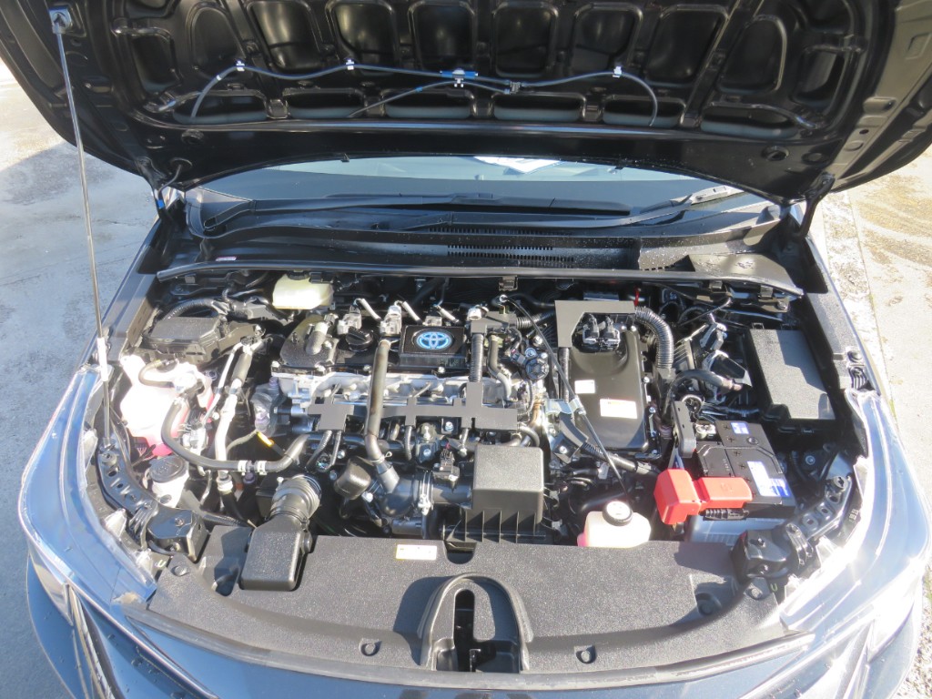 S1924620.jpg