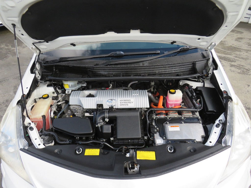 S6533420.jpg