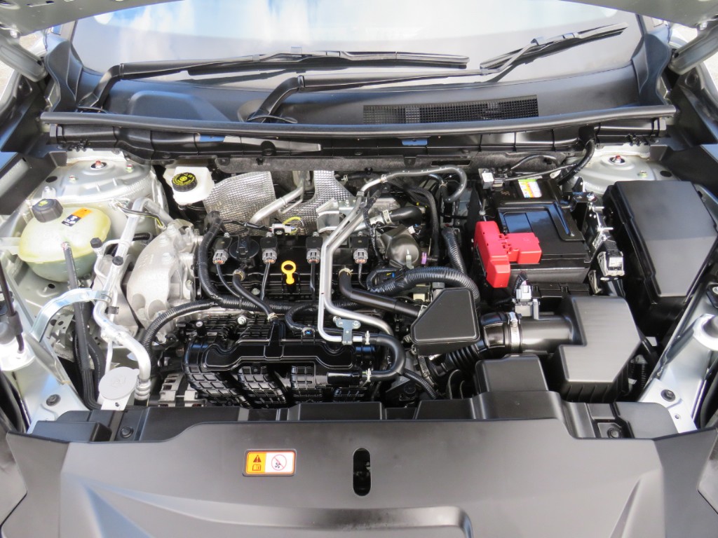 S7070820.jpg