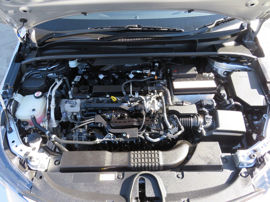 S7078520.jpg