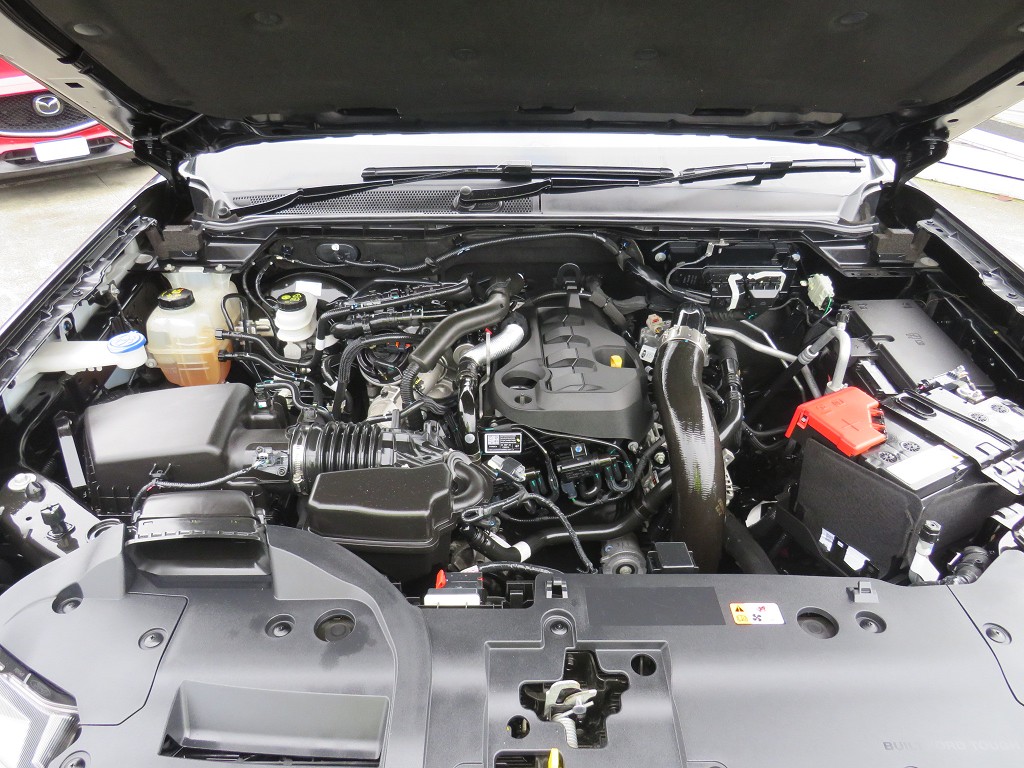 S7080321.jpg