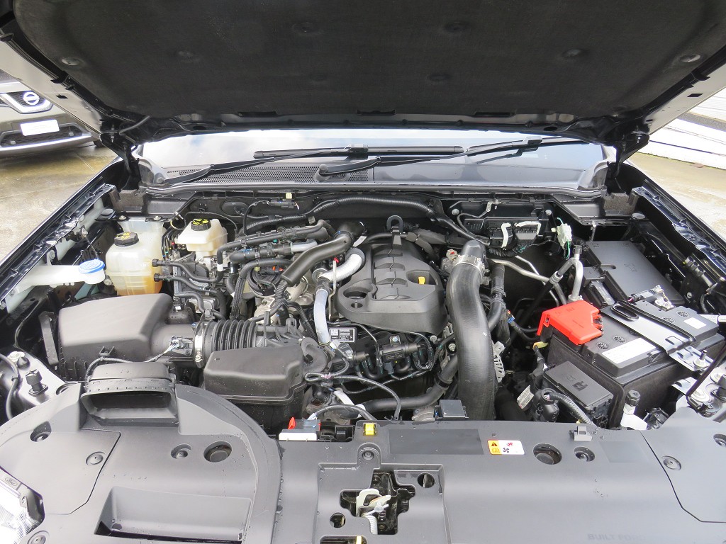 S7083421.jpg