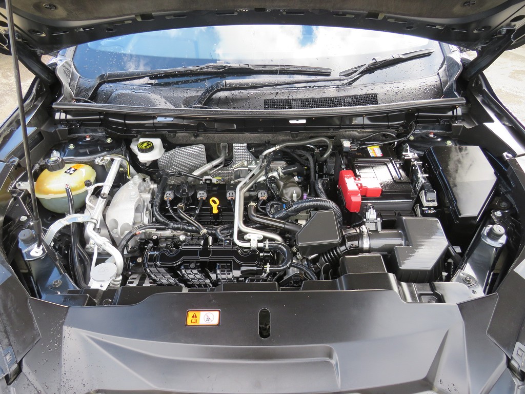 S7100021.jpg