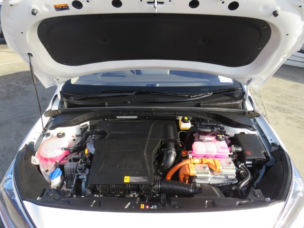 S7104219.jpg