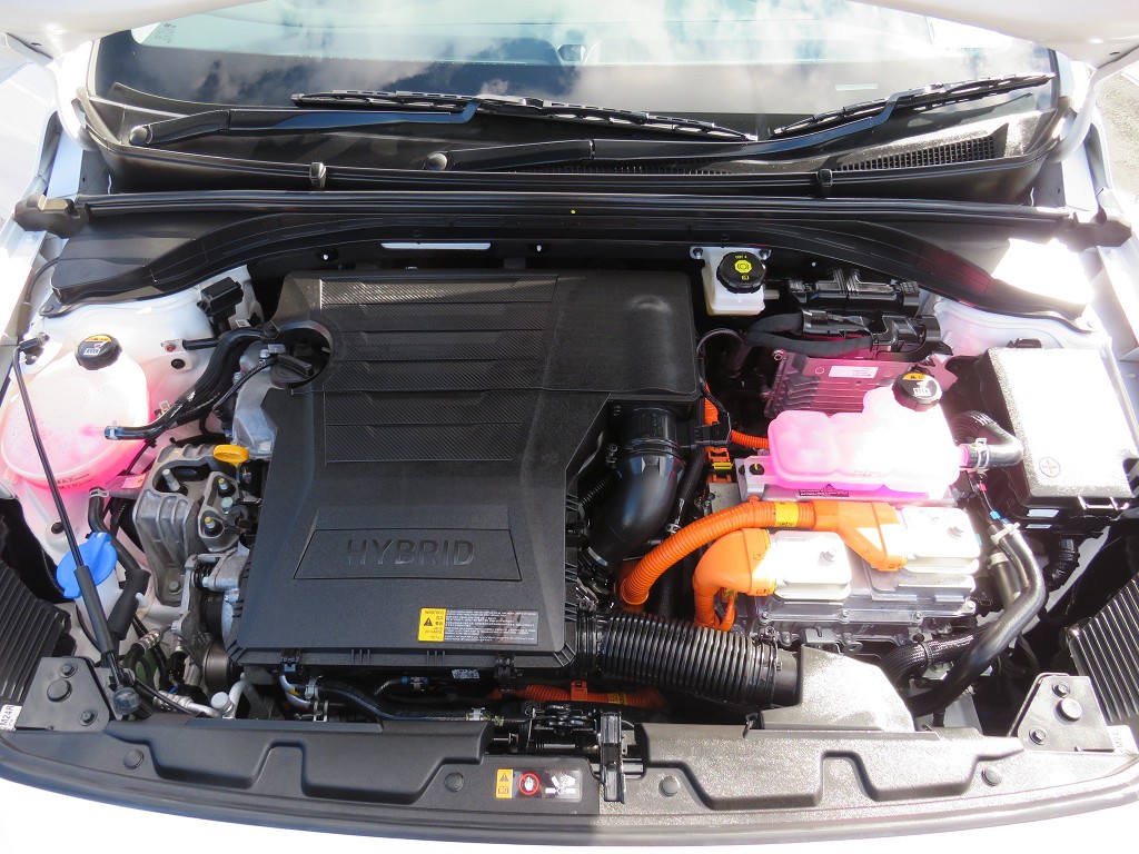 S7105421.jpg