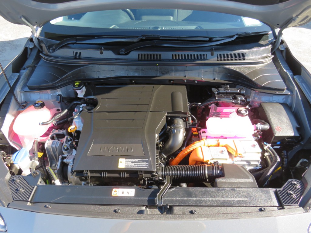 S7106621.jpg