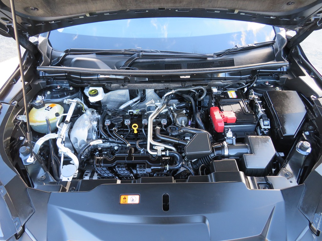 S7108621.jpg