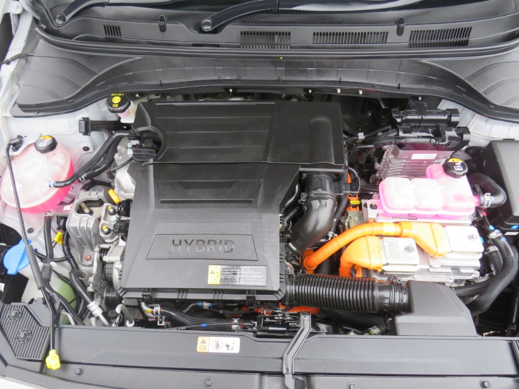 S7109720.jpg