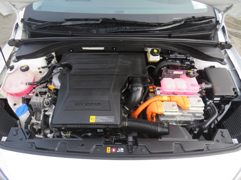 S7109920.jpg