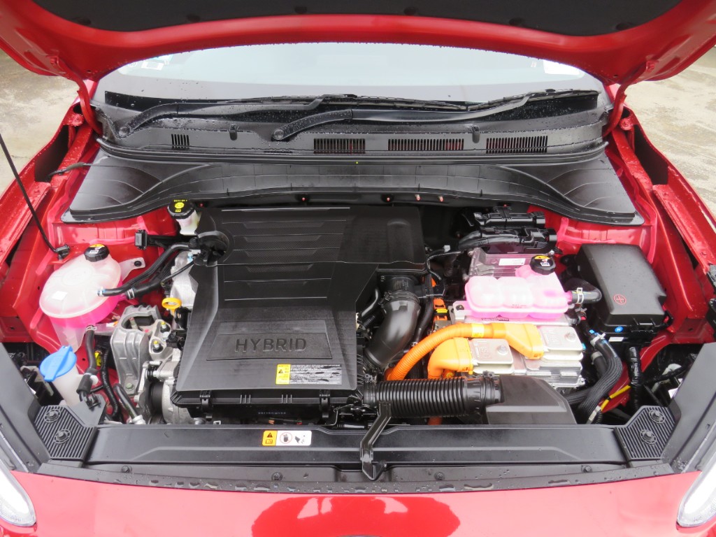 S7110020.jpg