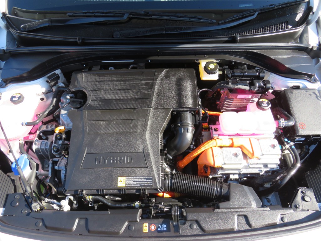 S7110419.jpg