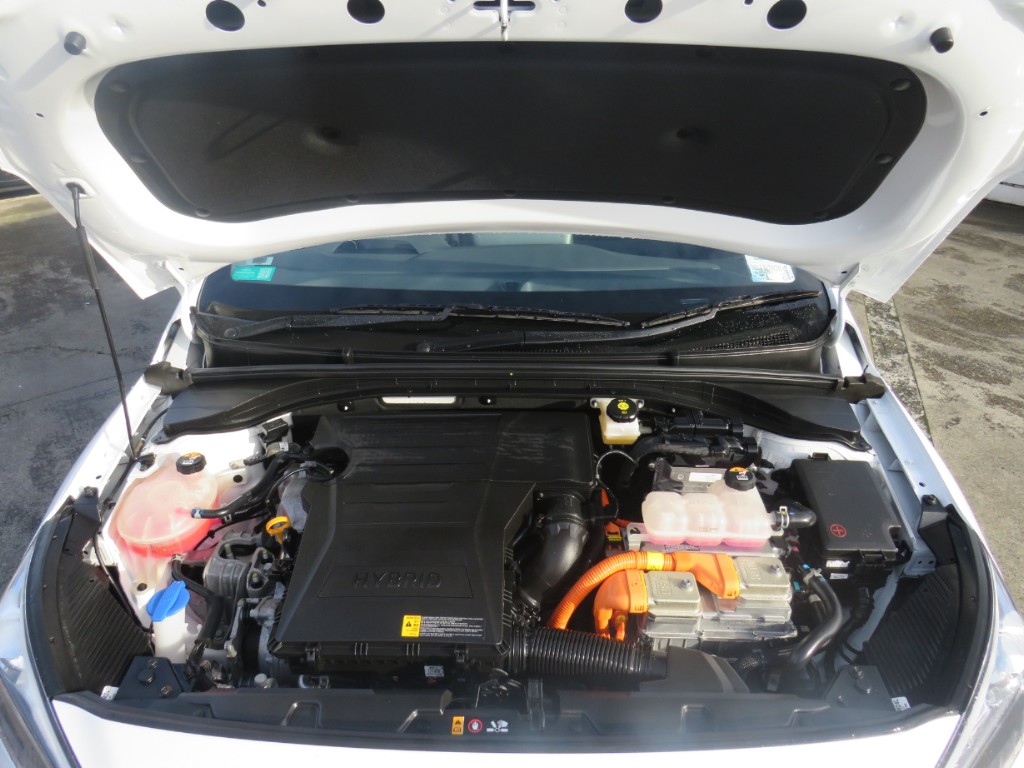 S7110719.jpg
