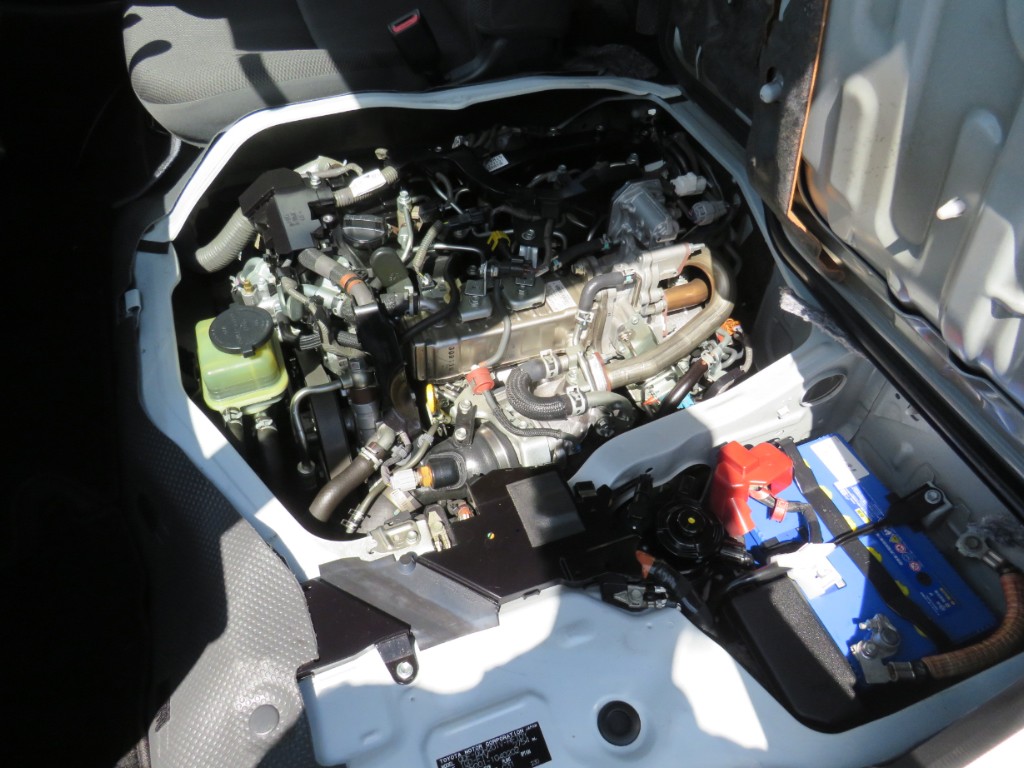 S8011221.jpg