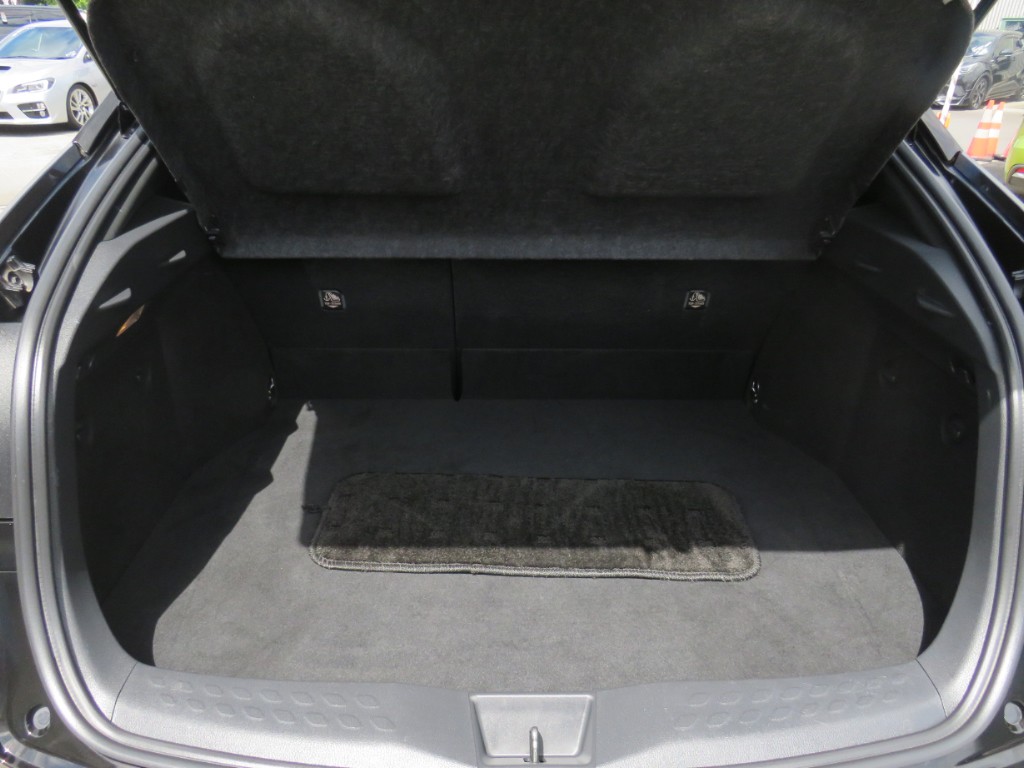 S8011911.jpg
