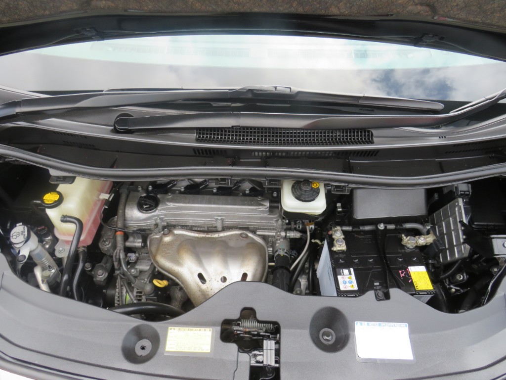 S8020520.jpg