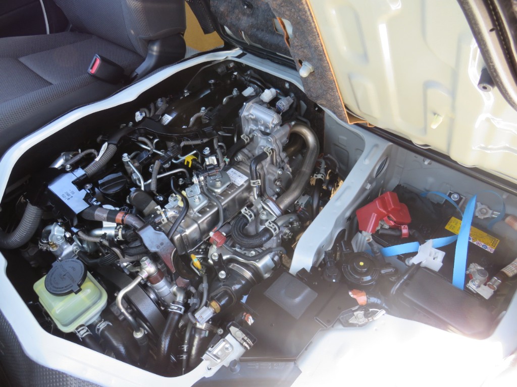 S8020620.jpg