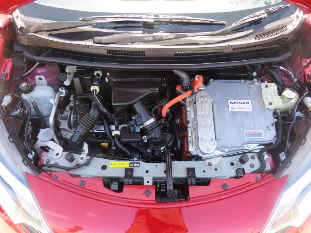 S8022619.jpg