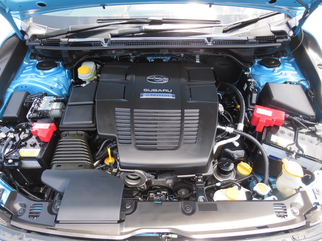 S8024020.jpg