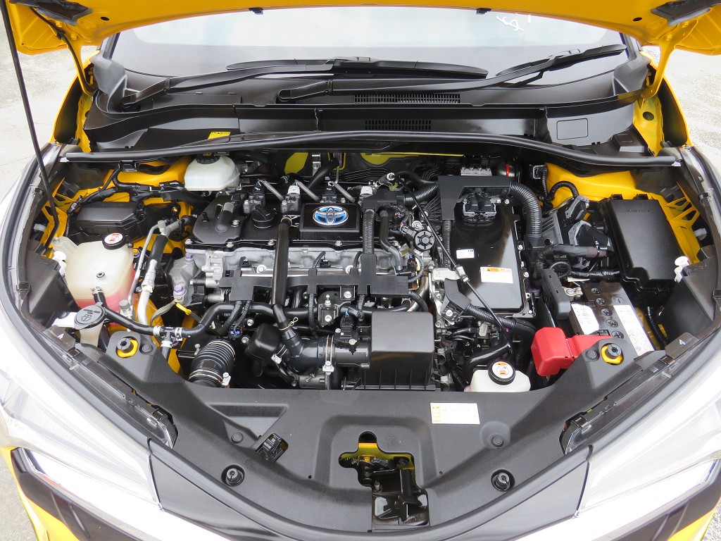 S8024920.jpg