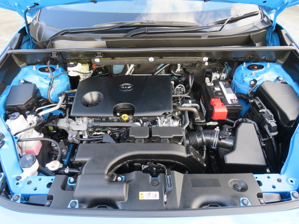 S8029920.jpg