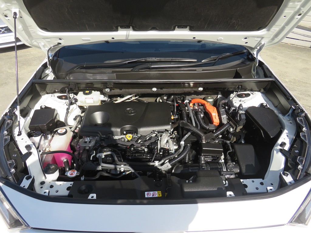 S8030020.jpg