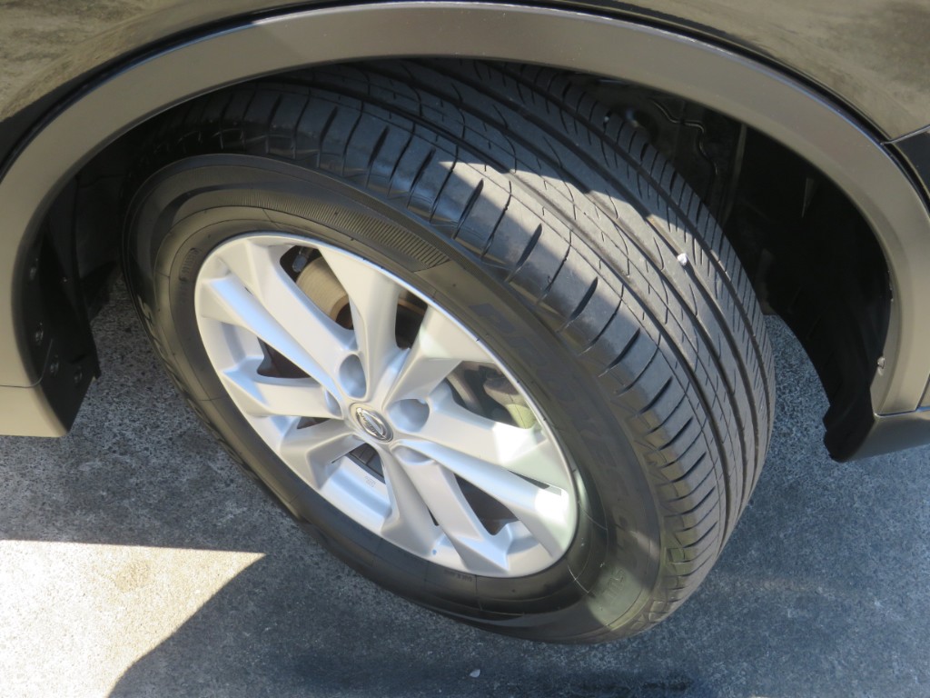 S8031210.jpg
