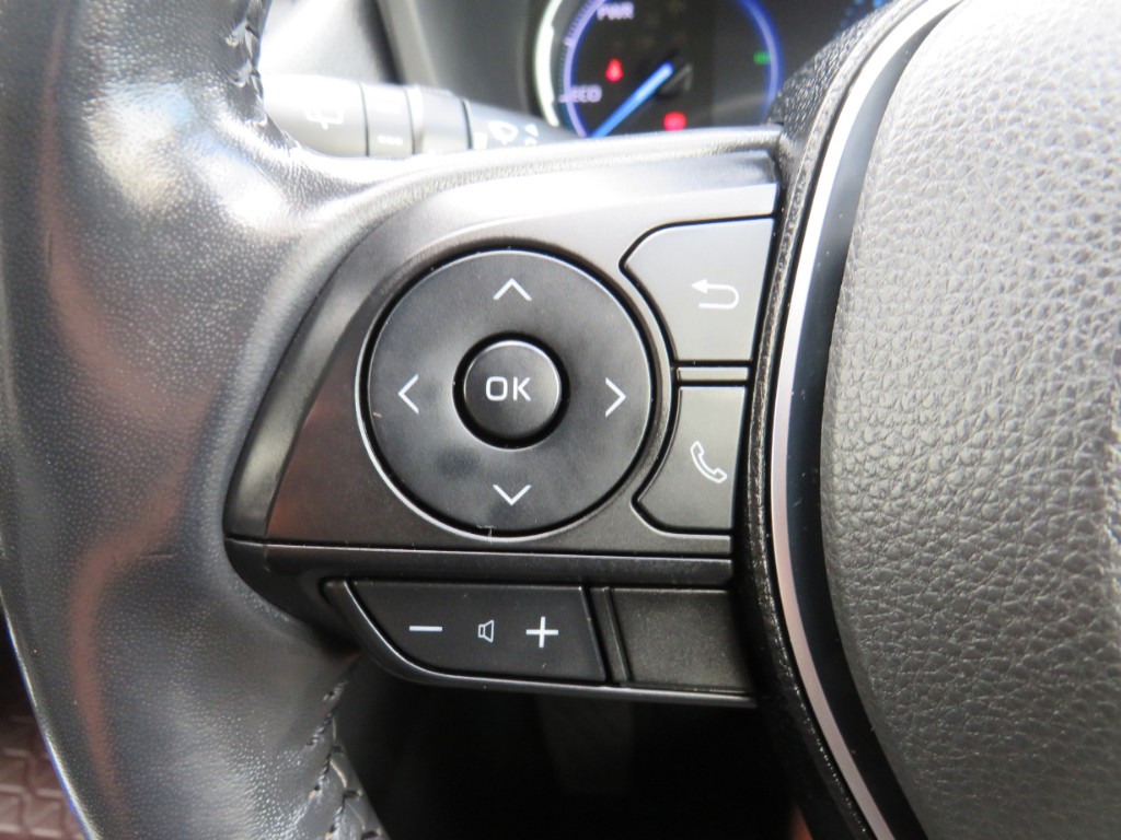 S8031715.jpg