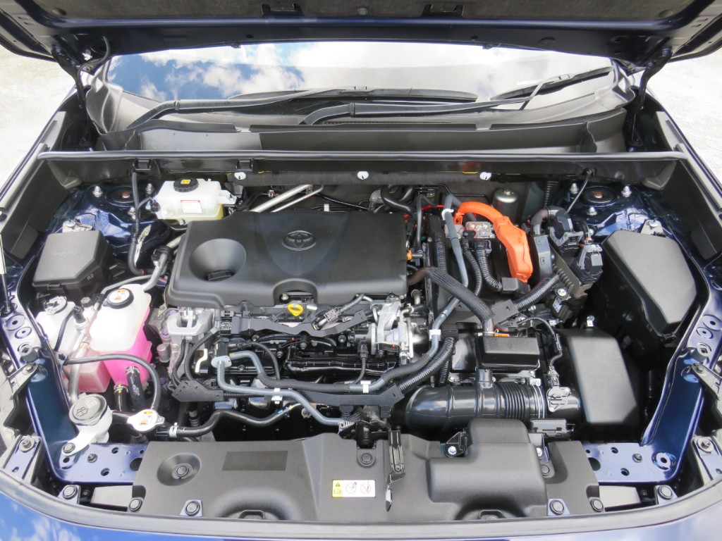S8031721.jpg