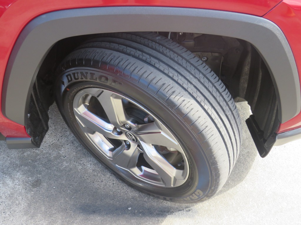 S8031810.jpg