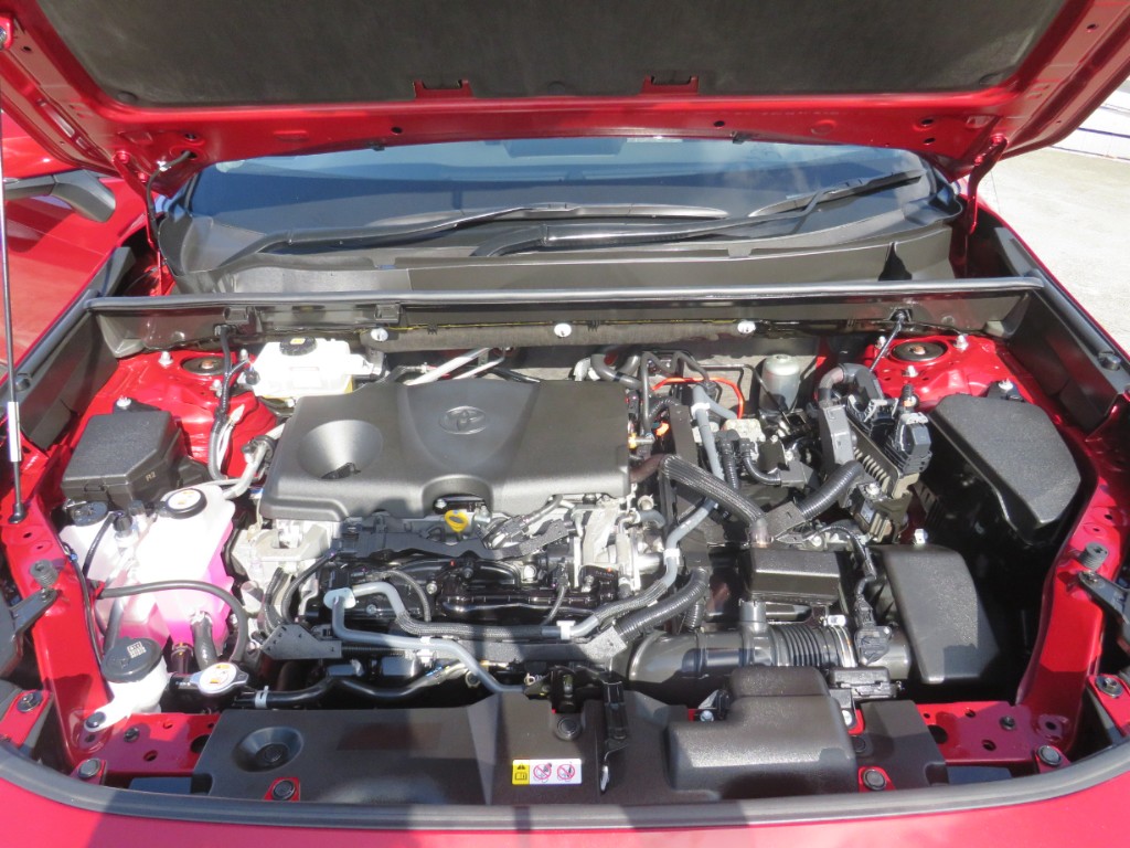S8031820.jpg