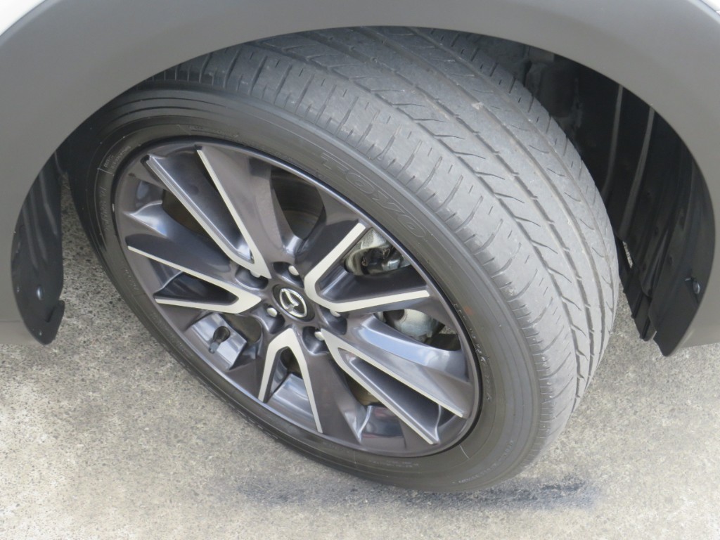 S8034010.jpg