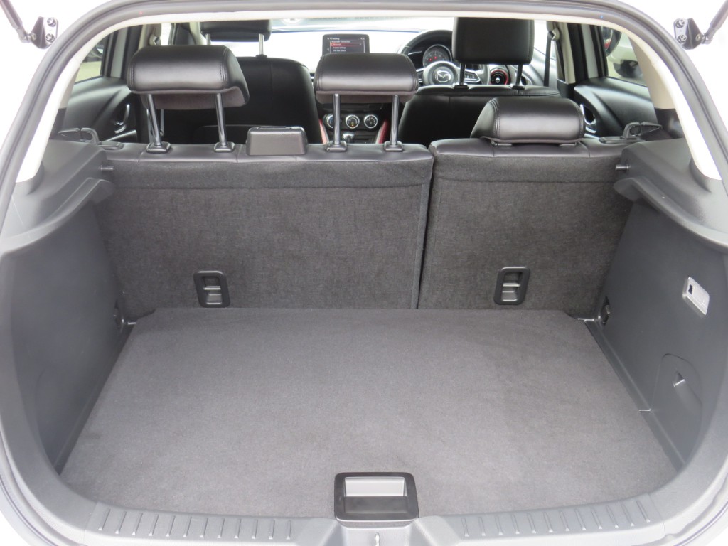S8034011.jpg
