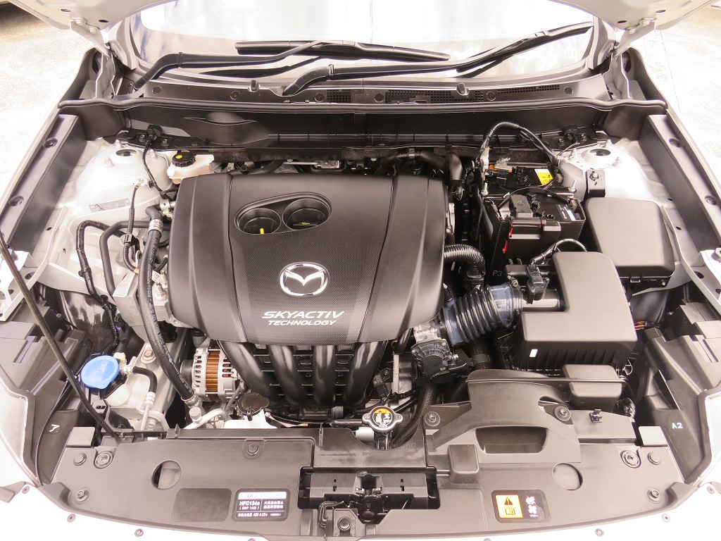 S8034021.jpg