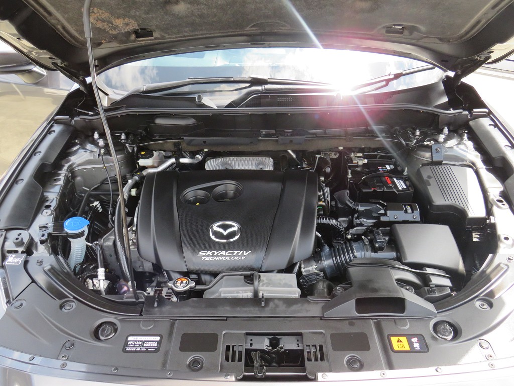 S8034420.jpg