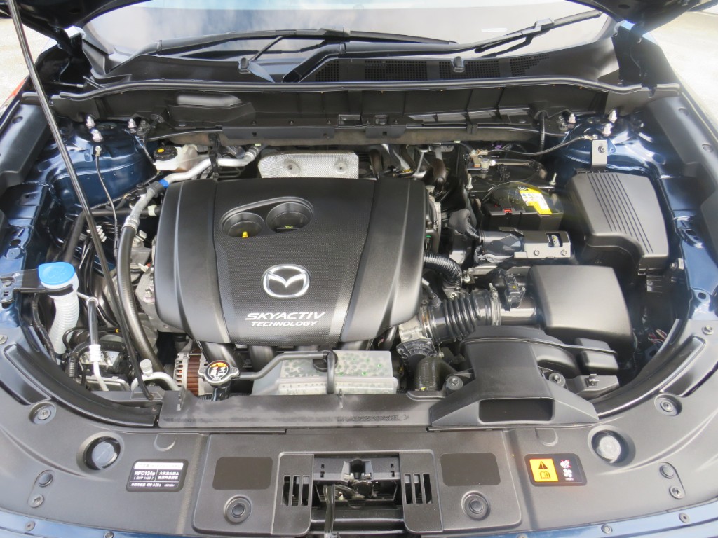 S8034519.jpg
