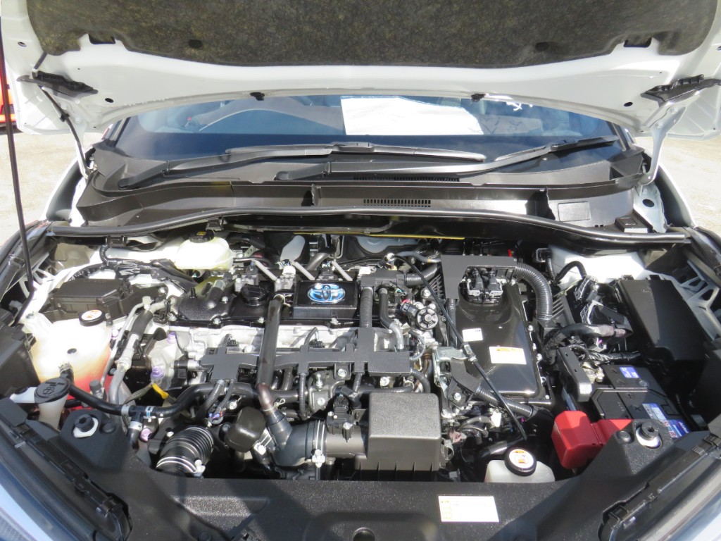 S8037619.jpg