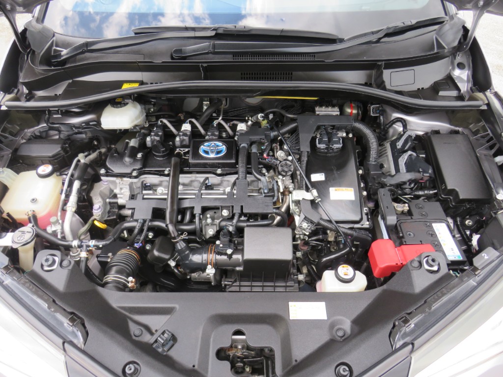 S8037720.jpg