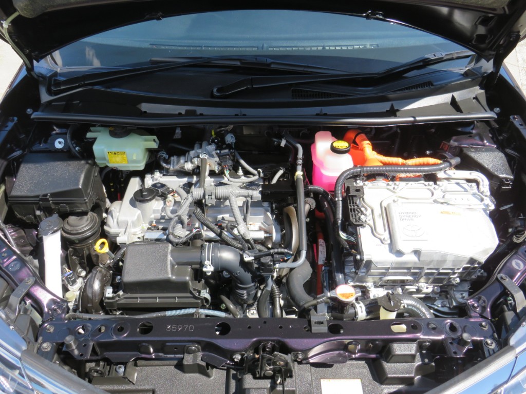 S8037919.jpg