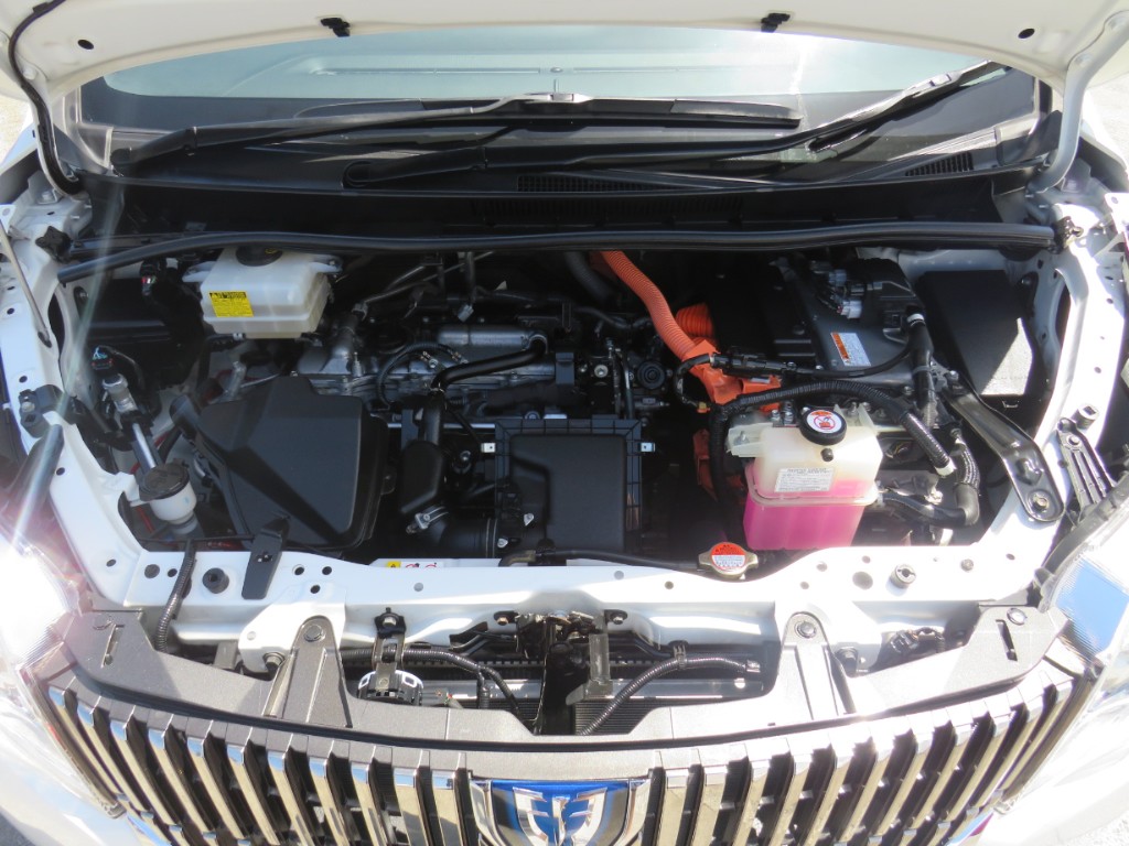 S8038119.jpg