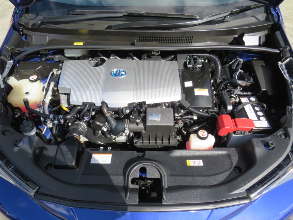 S8038320.jpg