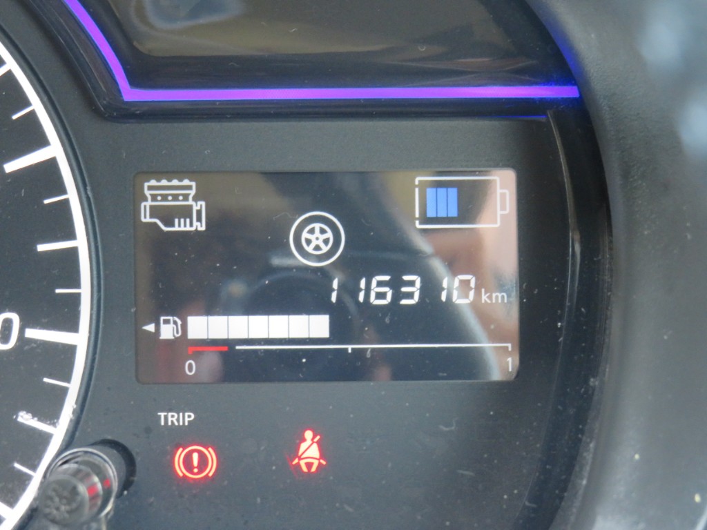 S8040617.jpg