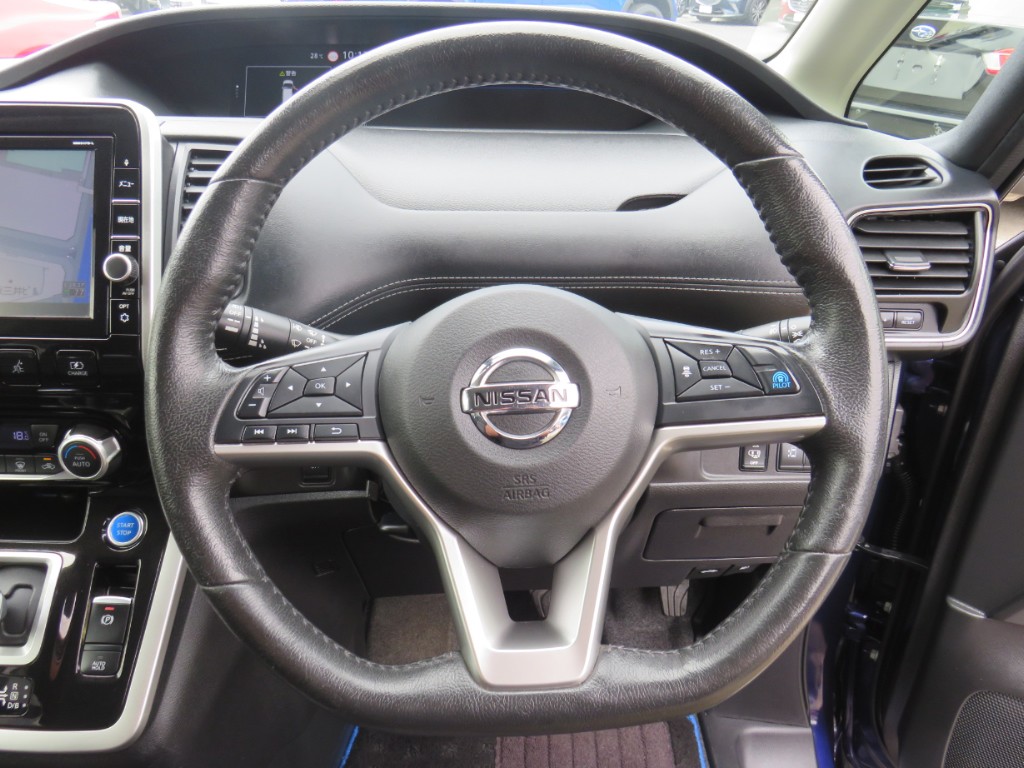 S8040713.jpg