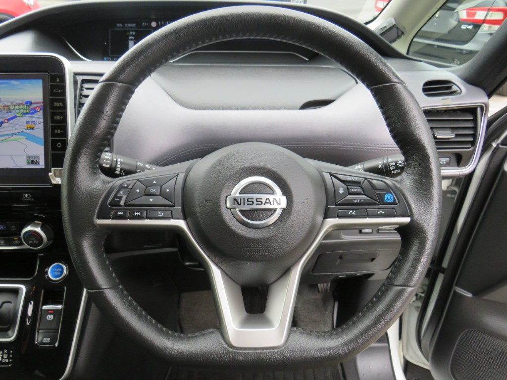 S8040916.jpg