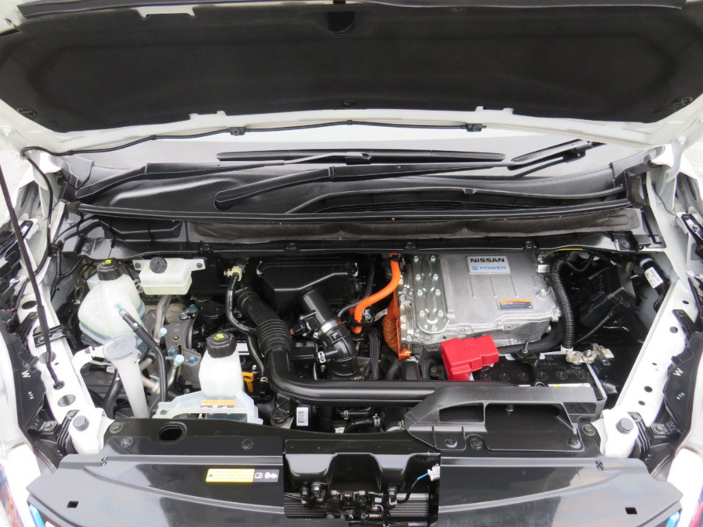 S8040921.jpg