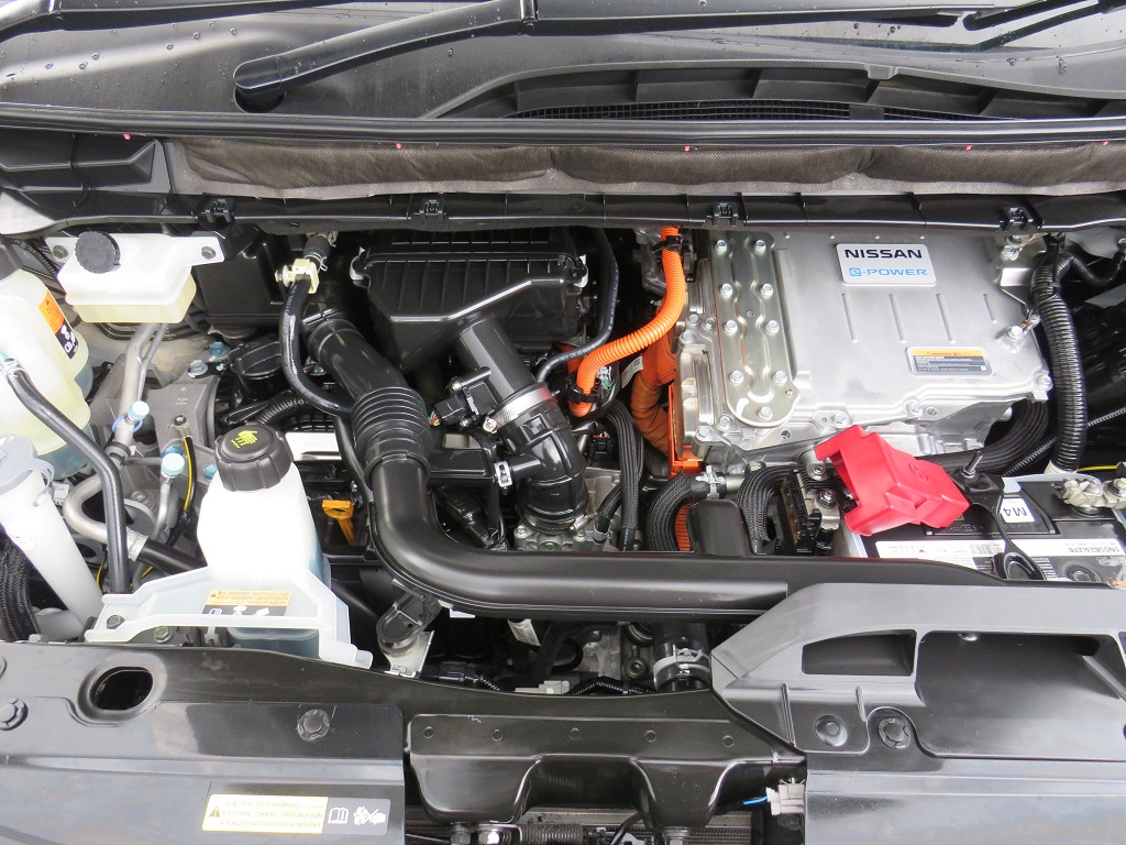 S8041021.jpg