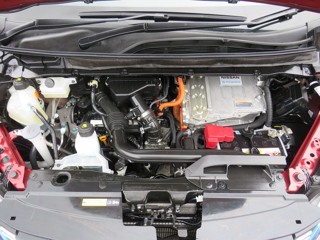 S8041120.jpg
